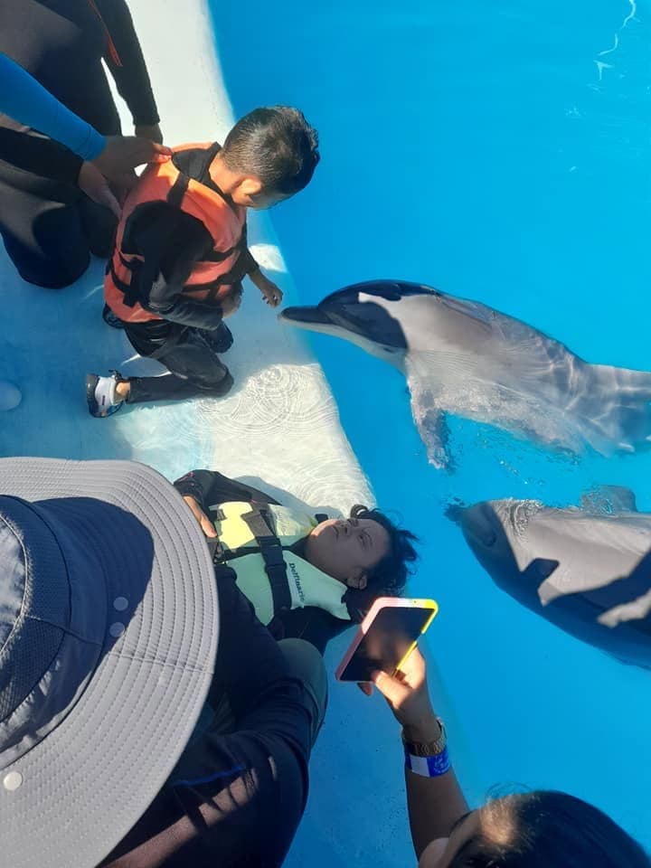 Un niño con chaleco salvavidas saluda a un delfín durante la jornada de delfinoterapia