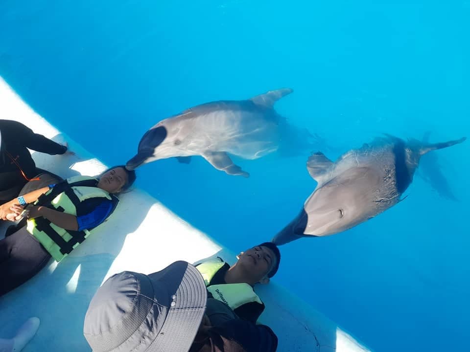 Jóvenes recibiendo terapia asistida con delfines